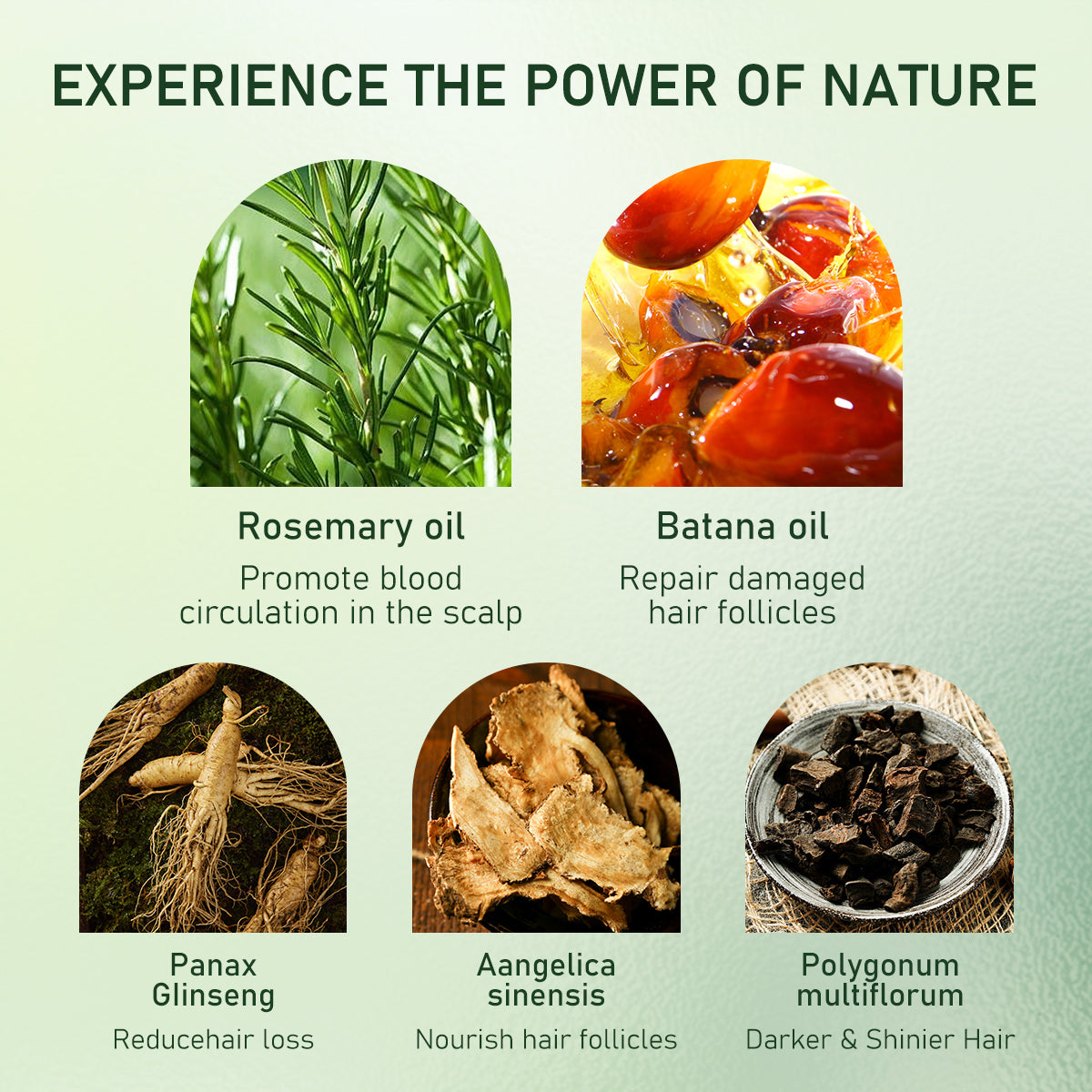 Funzoo® Batana Oil & Rosemary Hair Growth Roll-On Serum