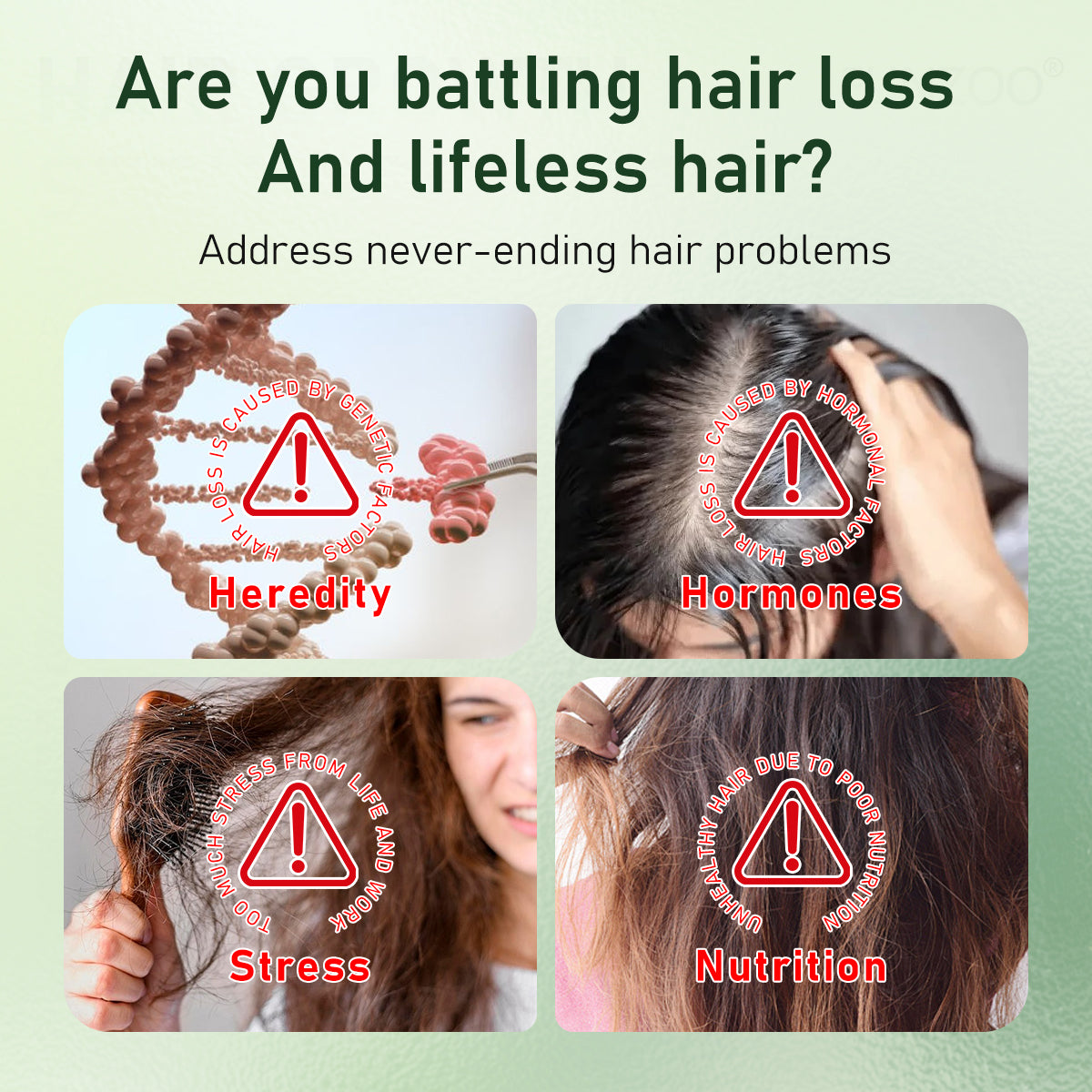 Funzoo® Batana Oil & Rosemary Hair Growth Roll-On Serum